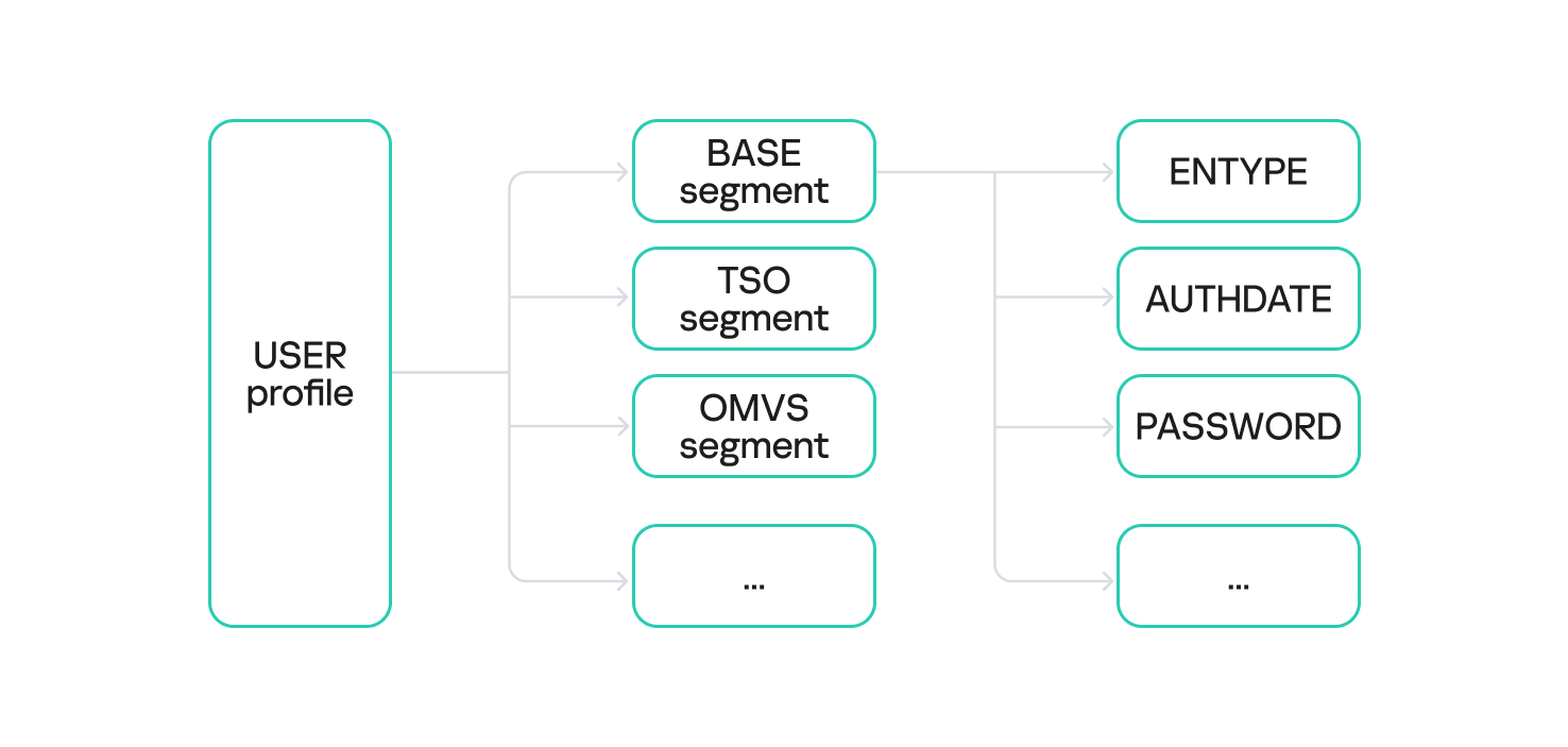 User profile segments